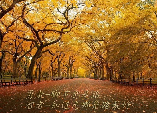 斯彬投資心得-真正適合自己的方法只有一個(gè)